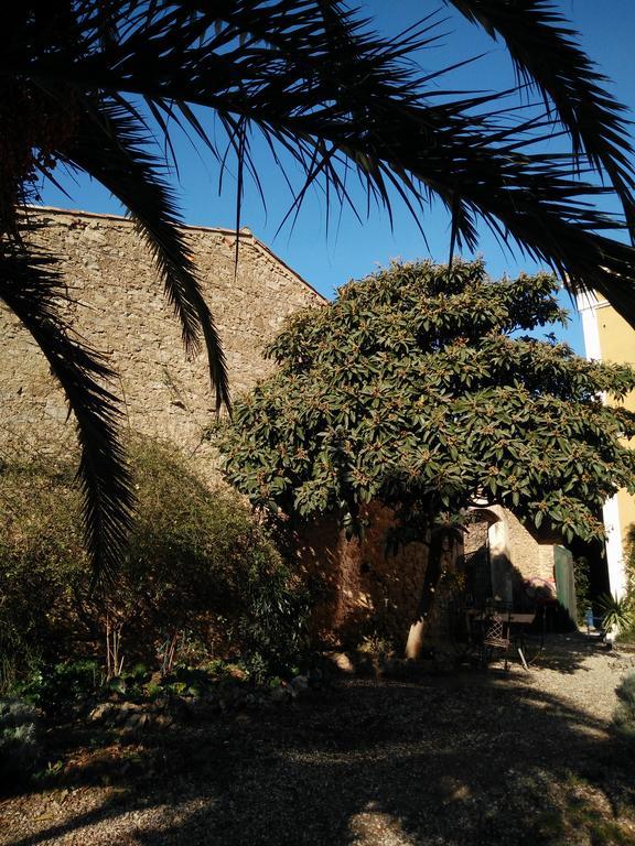 La Maison des Palmiers Homps  Exterior foto