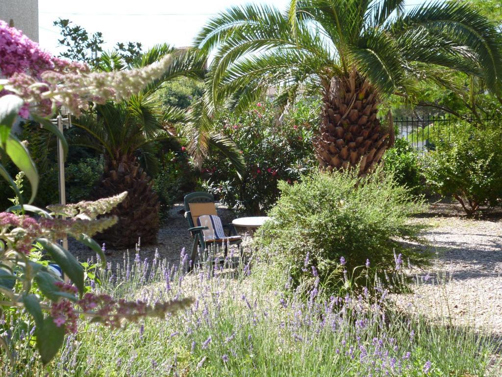 La Maison des Palmiers Homps  Exterior foto