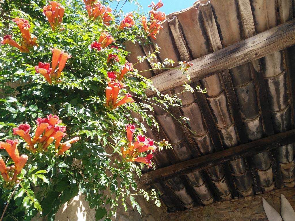 La Maison des Palmiers Homps  Exterior foto